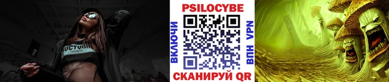 Купить  Вихоревка  Галлюциногенные грибы прущие грибы 