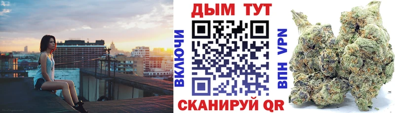 Купить  Вихоревка  Канабис OG Kush 